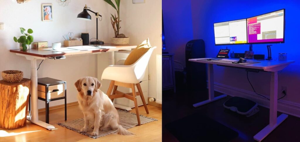 Flexispot vs Autonomous standing desk brand